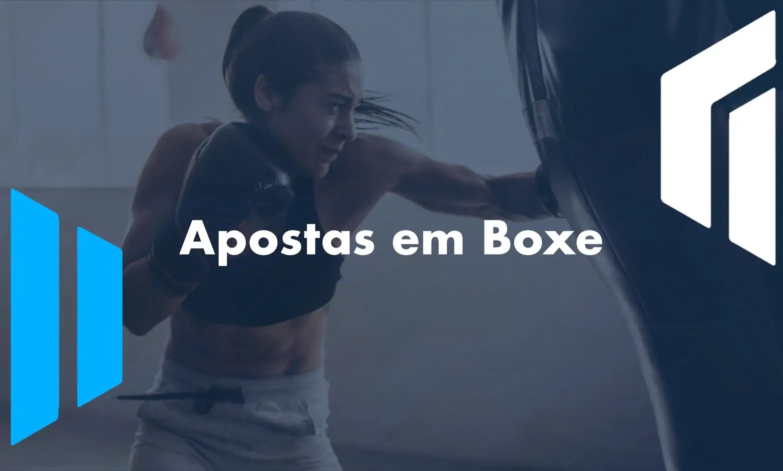 Apostas em Boxe
