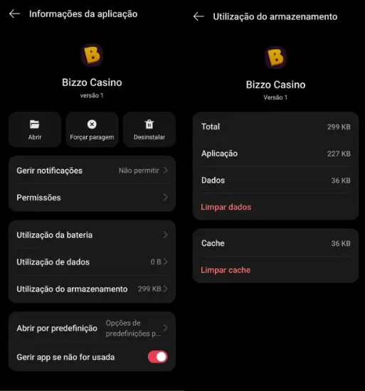Informações gerais da Bizzo App