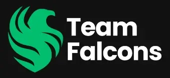 Team Falcons logo