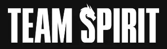Team Spirit logo